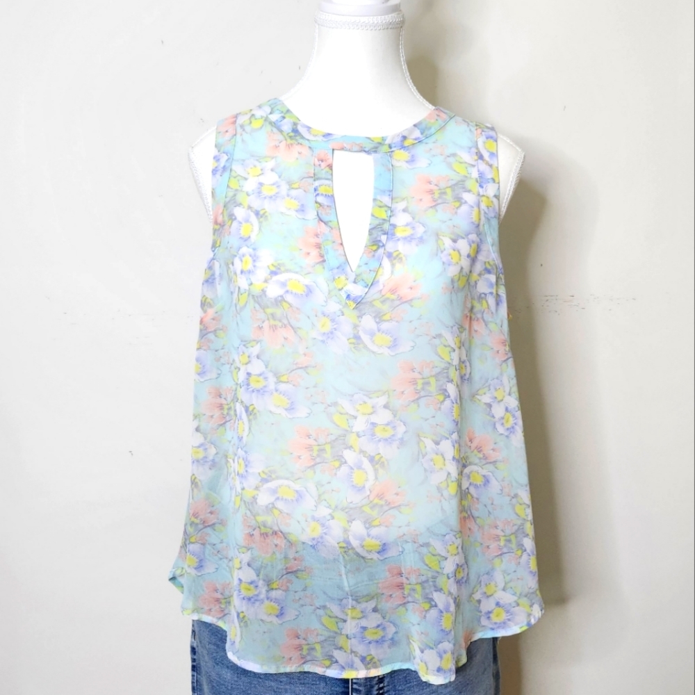 Vintage Pastel Sheer Floral Sleeveless Top
